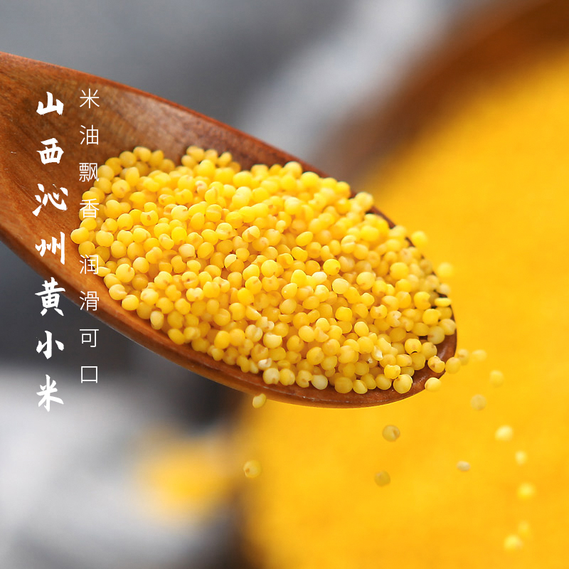 中国地标食物 | 正宗山西沁州黄小米 米油丰厚 米汤金黄 香甜暖胃