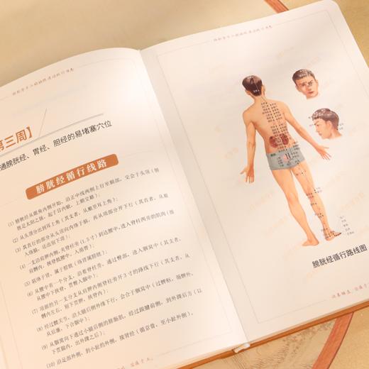 十二经络践行日志本 商品图3