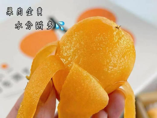 云南空运枇杷，妥妥的甜蜜蜜，小朋友的最爱 商品图1