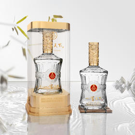 【五粮液股份出品 纯粮固态 醇厚绵甜】五粮液一尊天下·尊品52%vol 国标优级浓香白酒500ml *2/6瓶（赠礼袋）