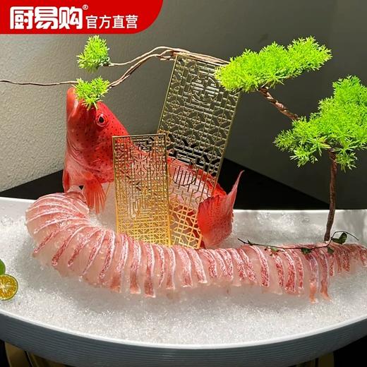 厨易购餐厅刺身拼盘围边点缀装饰扇子创意盘饰姿造防水折扇厨师 商品图0