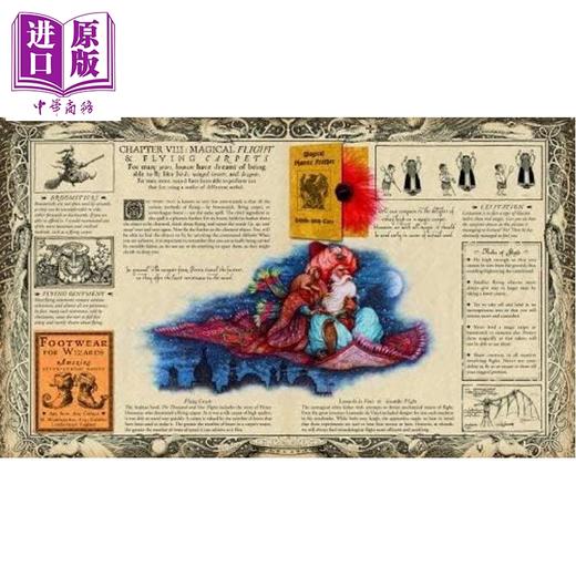 预售 【中商原版】魔法之书 梅林的秘密之书 英文原版 Wizardology The Book of the Secrets of Merlin Master Merlin 商品图2