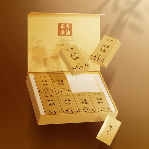 川红 东方茶韵林湖碧螺春120g2.0版 商品图1