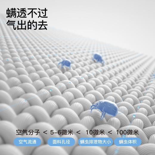 舒飘儿pure物理阻螨纯棉被芯【佳人严选】 商品图1