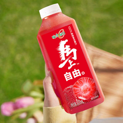 味全 每日C杨梅汁900ml瓶 自然果香 酸甜解腻 4瓶起发 72小时发货（不与其他规格混搭，如有问题请在24小时内保留快递面单及破损照片联系客服，超时不售后） 商品图0