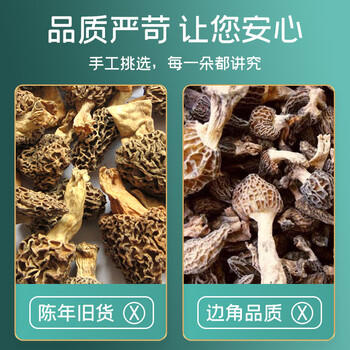 富昌 羊肚菌55g 云南特产头茬短柄  山珍菌菇干货 鸡汤煲汤火锅食材 商品图3