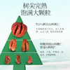 新农哥新货山核桃仁90g*3罐临安特产 商品缩略图2
