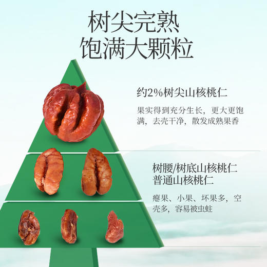新农哥新货山核桃仁90g*3罐临安特产 商品图2