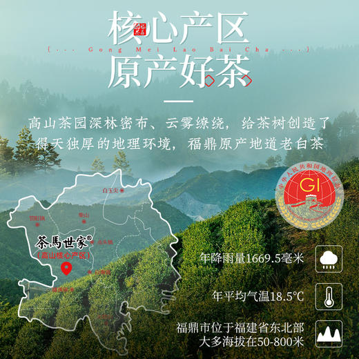 茶马世家丨2017年 福鼎贡眉 老白茶 礼盒装1kg（200g*5饼） 商品图2