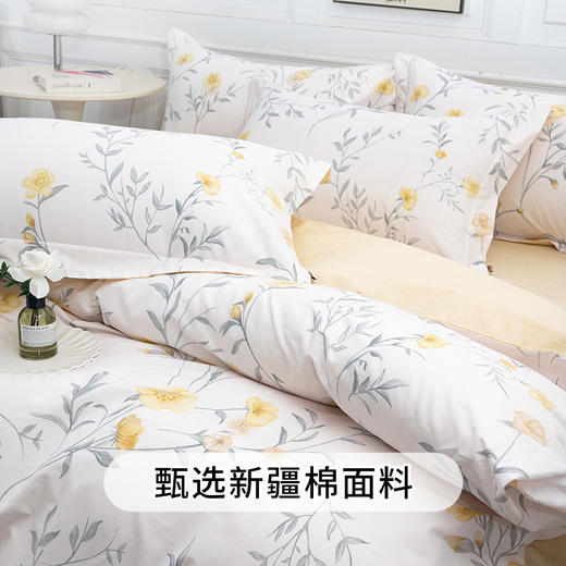 多喜爱 全棉斜纹印花套件【甄选新疆棉】【芬纳诺抗菌】【AB版设计】【宽边枕袋】柔软亲肤 吸湿透气 耐洗耐磨 不易褪色云鸽眠眠/拾光花序/语花瑟/豆蔻紫鸢/浅朵/森派/夏日紫藤 /新域/山野晴风 商品图2