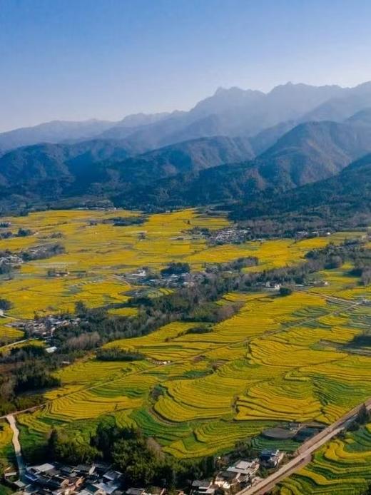 云南界头油菜花、边境瑞丽&芒市“异国”风情、神秘哀牢山“暮光森林”、临沧云海、元阳梯田光影8天摄影团 商品图9