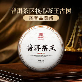 【普洱茶王】2024年头春普洱茶区核心茶王古树 高奢品鉴级