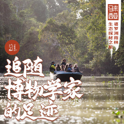 「早鸟价 · 错峰7.30-8.5」追随博物学家的足迹 · 婆罗洲雨林生态探秘之旅 商品图0