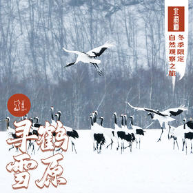 「2027春节」寻鹤雪原 · 日本北海道冬季限定自然观察之旅