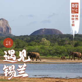 「错峰」遇见锡兰 · 斯里兰卡自然探险之旅（冬季）