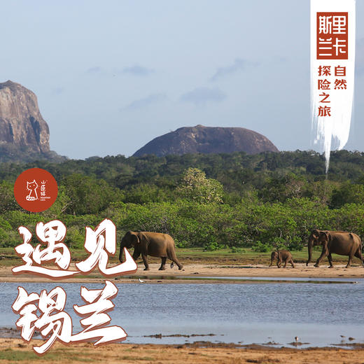 「错峰」遇见锡兰 · 斯里兰卡自然探险之旅（冬季） 商品图0