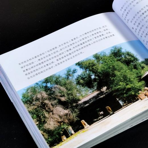 【绝版】《草原民族文化的灵魂：新疆草原文化遗址考察》，24开平装，铜版彩印，张平编著，新疆人民出版社2006年一版一印，232面，定价38.8元，售价30元。 商品图14