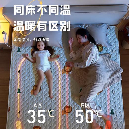 志高电热毯电褥子单人双人毯双控调温家用学生宿舍使用 商品图3