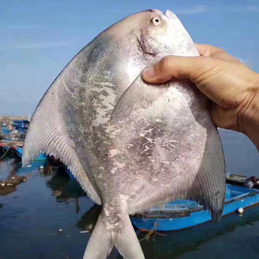 新年海鲜礼盒 商品图8