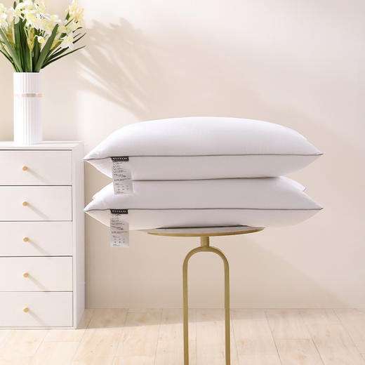 【春上新】10楼宜庭 零感释压白鹅枕     吊牌价999元  活动价199元/对 商品图1