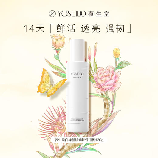 【双十一员工内购】养生堂白桦新肌修护保湿乳120g 买一送一 商品图1