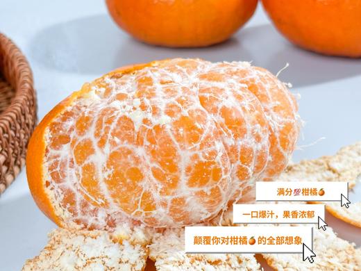 【甘平柑橘】四川甘平柑橘  柑橘皇后 当季鲜果 整箱发货 团购礼盒 商品图5