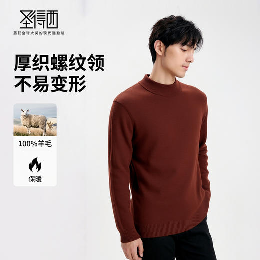 【100%绵羊毛】圣得西男士保暖厚羊毛衫2025秋新款重磅毛衣410g 商品图1