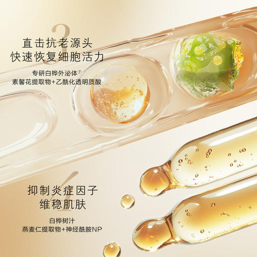 【双十一员工内购】养生堂雪融莹润夜间焕活面膜 5g*12    买一送一 商品图3