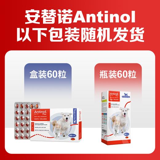 【1瓶】安替诺Antinol EAB-277 胶囊新西兰软骨素狗猫关节强炎髌骨脱位腰椎骨刺 商品图1