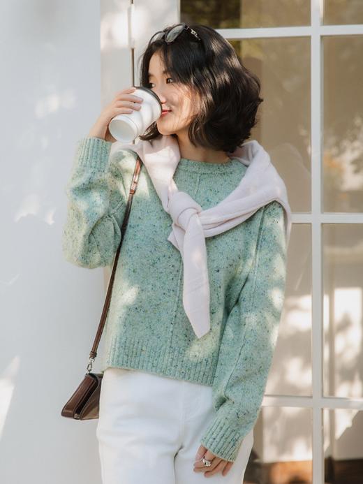 100%山羊绒彩点纱毛衫FCG1CST059 商品图11