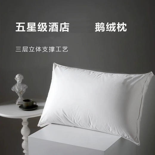 星级酒店鹅绒枕芯单人家用护颈椎不塌陷一只装 商品图1