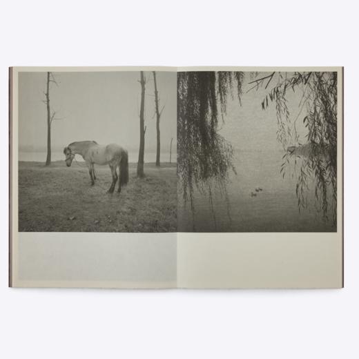 塔克「诗山河考」摄影集 商品图9