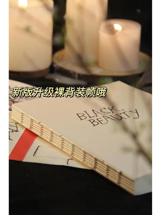 黑骏马·10周年纪念版（浮雕印刷封面毛边书）【企鹅手绣10周年纪念版系列中唯一且绝版】 商品图1