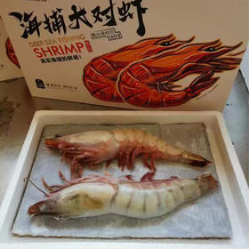 【顺丰快递】青岛海捕野补对虾 青岛产地 专业捕捞 肉质鲜嫩 紧实Q弹 鲜活速冻 真空包装 BHFT