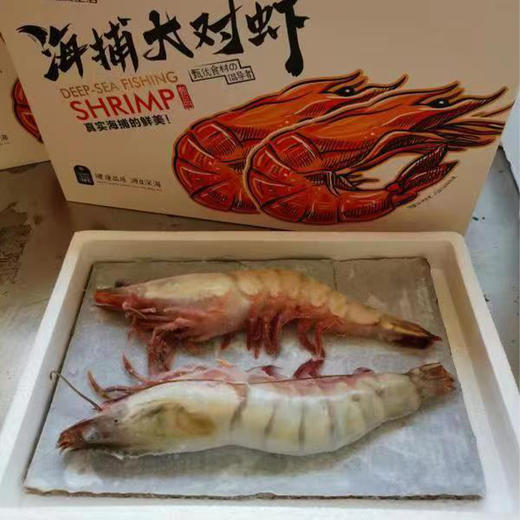 【顺丰快递】青岛海捕野补对虾 青岛产地 专业捕捞 肉质鲜嫩 紧实Q弹 鲜活速冻 真空包装 BHFT 商品图0