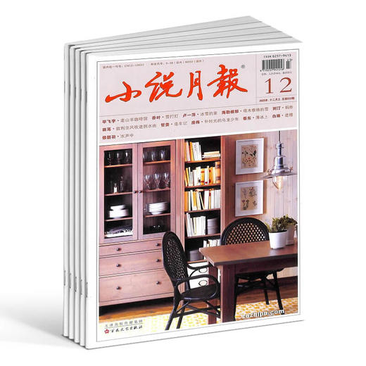 小说月报（1年共12期）（杂志订阅）2026年1月起订 商品图1