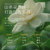 Eco Basics山茶花植萃滋润香氛柔顺洗发水沐浴露护发素 酒店同款 商品缩略图3