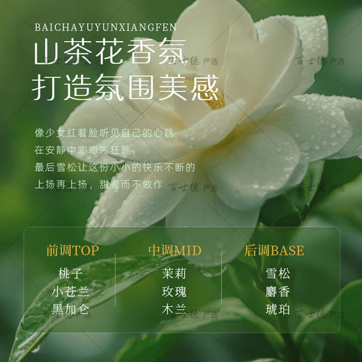 Eco Basics山茶花植萃滋润香氛柔顺洗发水沐浴露护发素 酒店同款 商品图3