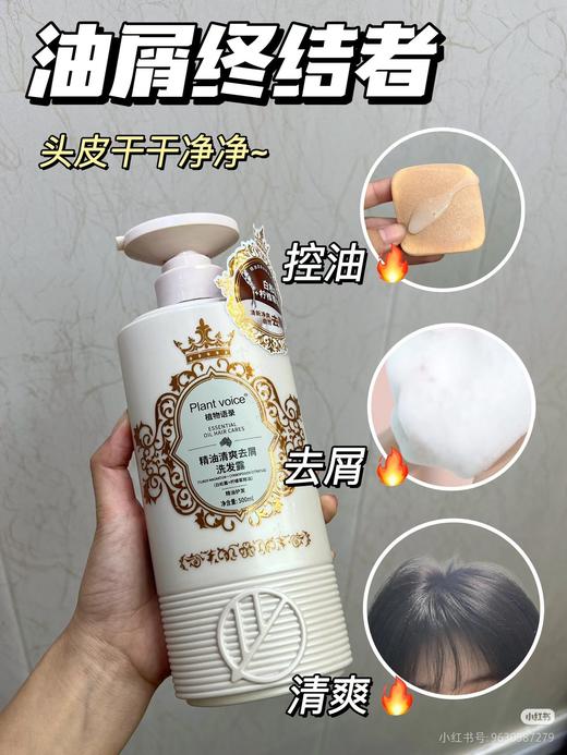 植物语录精油清爽去屑洗发露500ml效期27年3月（泵头轻微破损） 商品图2