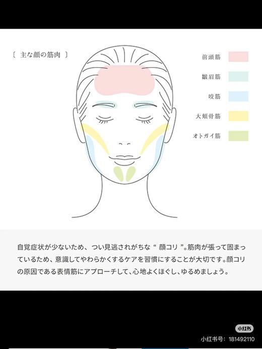 【1800元会员福利】ReFa 美容仪 31948 ReFa rhythm木色    商品图2