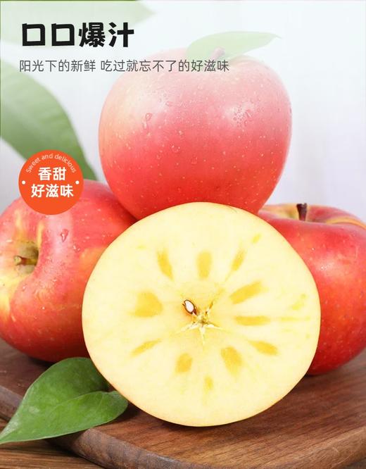 新疆阿克苏苹果7斤装 商品图1