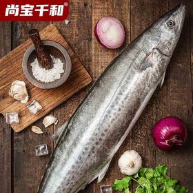 【顺丰快递】胶东大鲅鱼礼盒 渤海湾新鲜海捕 鲜嫩可口 鱼眼明亮 表皮透亮 新鲜美味 BHFT