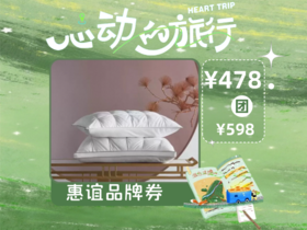 【心动的旅行】惠谊WHINNY HOME 华梦立体抗菌纤维枕863222399