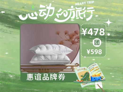 【心动的旅行】惠谊WHINNY HOME 华梦立体抗菌纤维枕863222399 商品图0