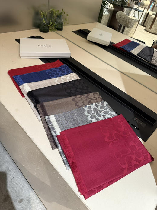 秋冬特惠💰320 蔻驰经典款围巾/大披肩 商品图7