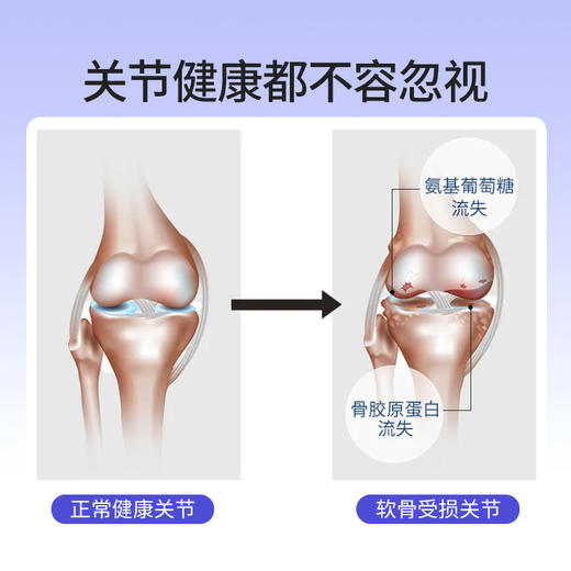 【华北制药】升级新配方-非变性II型骨胶原蛋白特殊膳食~ 商品图1