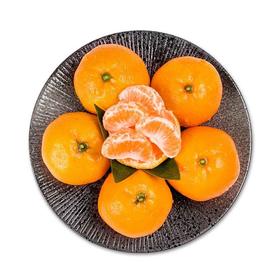 甘平蜜桔 约500g/份