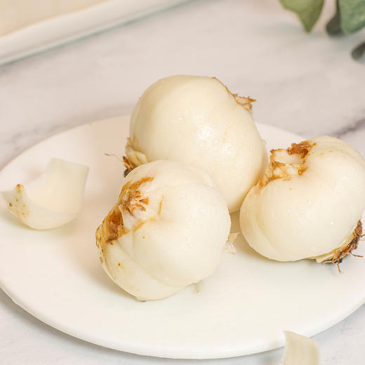 甘肃兰州  鲜百合  六年生  多规格任选 商品图1