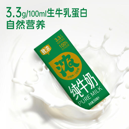 【春节好礼2件再9折】新希望致浓纯牛奶250ml*12盒/箱【快递发货】 商品图5
