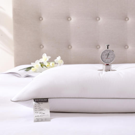 【春上新】10楼宜庭 零感释压白鹅枕     吊牌价999元  活动价199元/对 商品图4